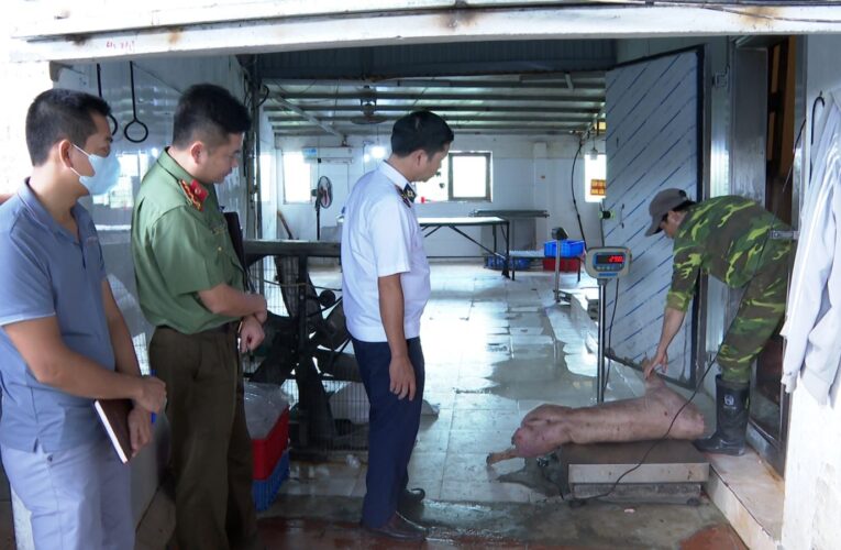 Hưng Yên: Khởi tố chủ trại lợn bán thịt nhiễm bệnh ra thị trường