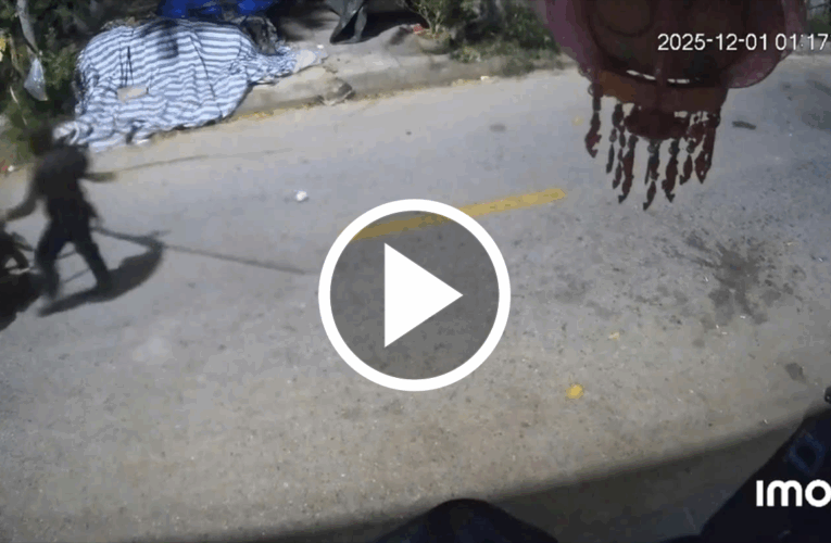 Cảnh báo tình trạng trộm chó trên địa bàn xã