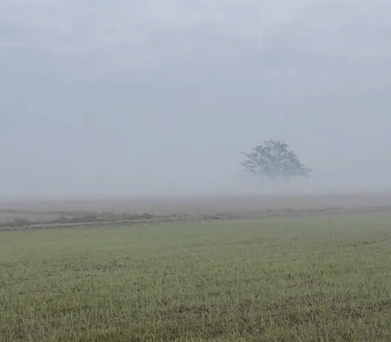 [VIDEO] Cảnh tượng lạ giữa màn sương mù ở Thái Bình